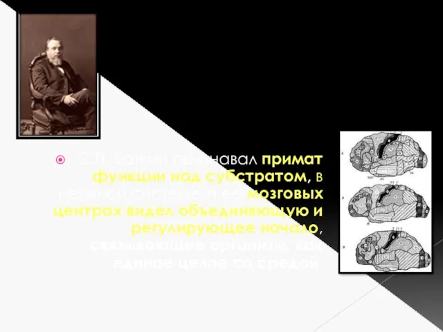 С.П. Боткин признавал примат функции над субстратом, в нервной системе и ее мозговых