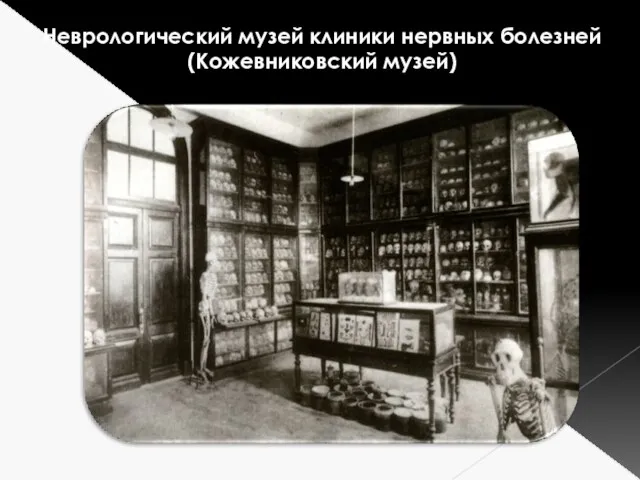 Неврологический музей клиники нервных болезней (Кожевниковский музей)