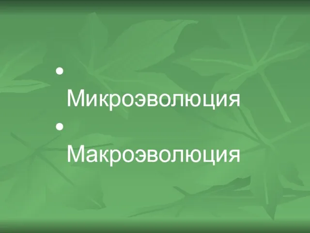 Микроэволюция Макроэволюция