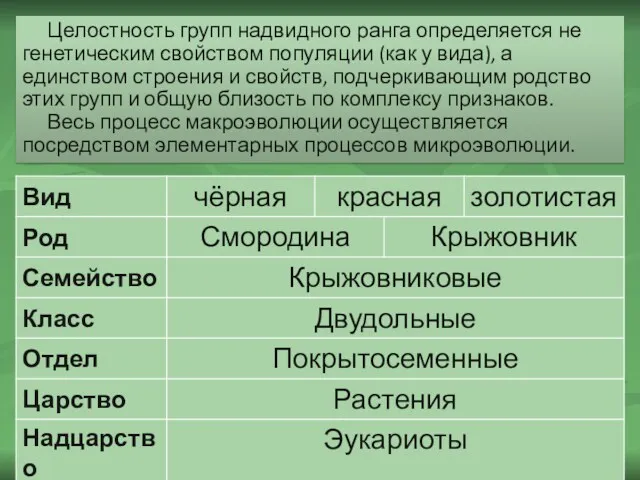 Целостность групп надвидного ранга определяется не генетическим свойством популяции (как