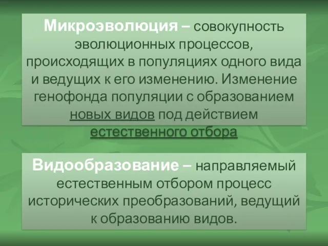 Микроэволюция – совокупность эволюционных процессов, происходящих в популяциях одного вида