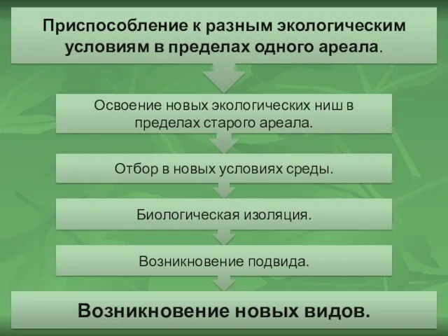 Приспособление к разным экологическим условиям в пределах одного ареала. Освоение