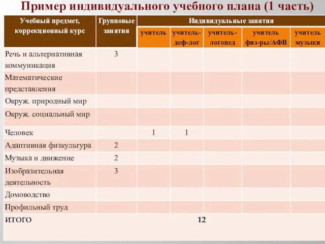 Пример индивидуального учебного плана (1 часть)