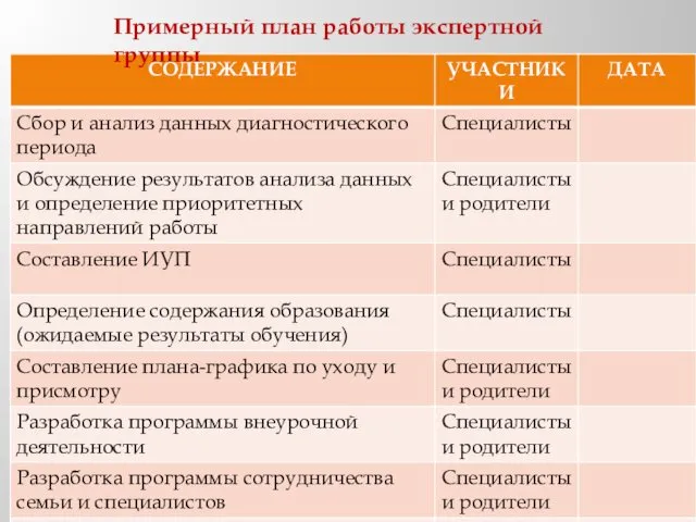 Примерный план работы экспертной группы