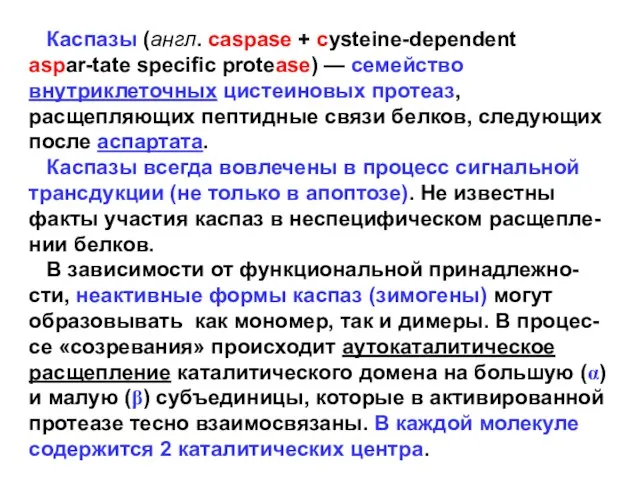 Каспазы (англ. caspase + cysteine-dependent aspar-tate specific protease) — семейство