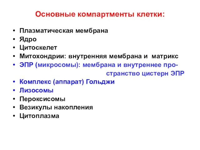 Основные компартменты клетки: Плазматическая мембрана Ядро Цитоскелет Митохондрии: внутренняя мембрана