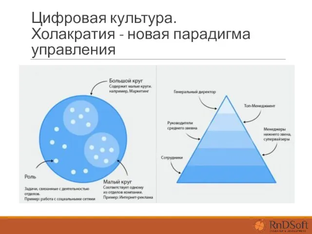 Цифровая культура. Холакратия - новая парадигма управления