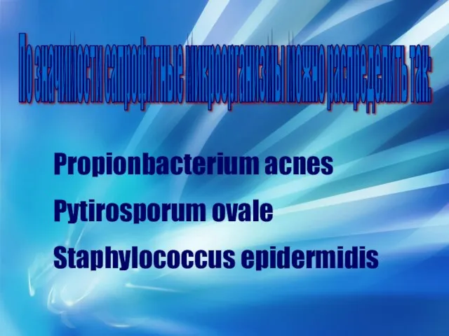 По значимости сапрофитные микроорганизмы можно распределить так: Propionbacterium acnes Pytirosporum ovale Staphylococcus epidermidis