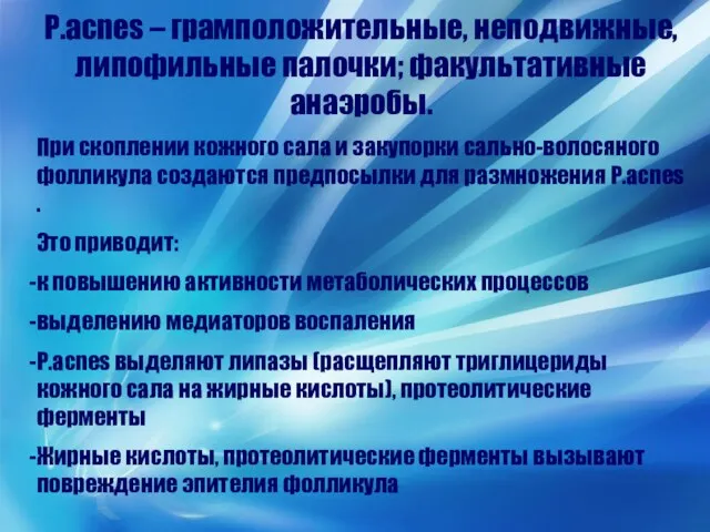 P.acnes – грамположительные, неподвижные,липофильные палочки; факультативные анаэробы. При скоплении кожного