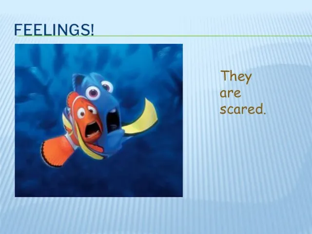 FEELINGS! They are scared.