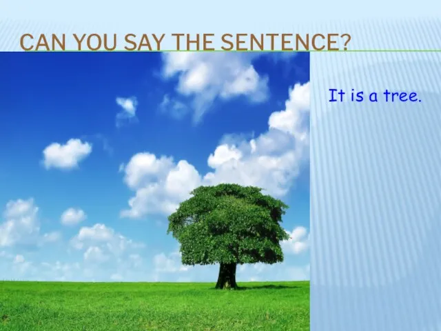 CAN YOU SAY THE SENTENCE? It is a tree.