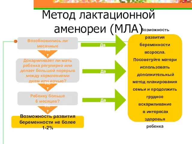 Метод лактационной аменореи (МЛА) Возобновились ли месячные Докармливает ли мать