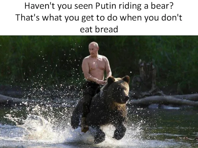 Haven't you seen Putin riding a bear? That's what you