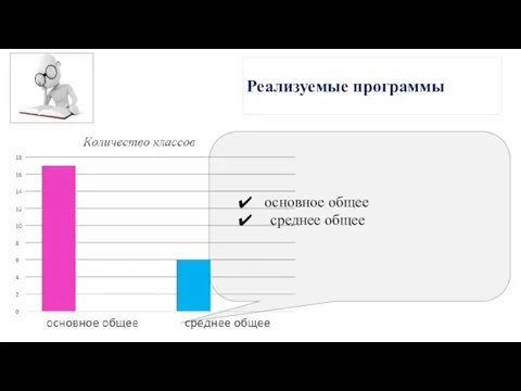 Реализуемые программы основное общее среднее общее