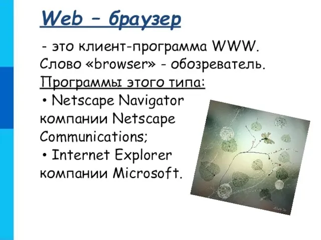 Web – браузер это клиент-программа WWW. Слово «browser» - обозреватель.