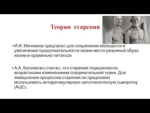 Теории старения И.И. Мечников предлагал для сохранения молодости и увеличения