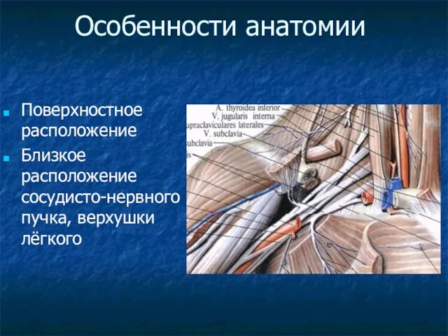 Особенности анатомии Поверхностное расположение Близкое расположение сосудисто-нервного пучка, верхушки лёгкого