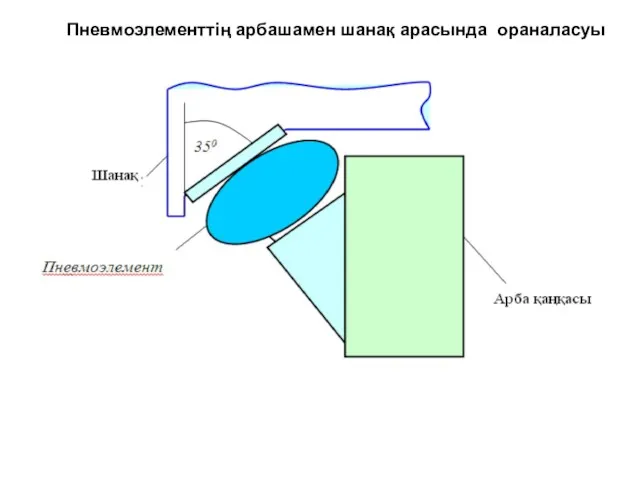 Пневмоэлементтің арбашамен шанақ арасында ораналасуы