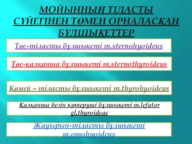 МОЙЫННЫҢ ТІЛАСТЫ СҮЙЕГІНЕН ТӨМЕН ОРНАЛАСҚАН БҰЛШЫҚЕТТЕР Төс-қалқанша бұлшықеті m.sternothyroideus Төс-тіласты