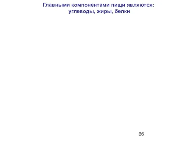 Главными компонентами пищи являются: углеводы, жиры, белки