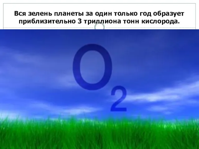 Вся зелень планеты за один только год образует приблизительно 3 триллиона тонн кислорода.