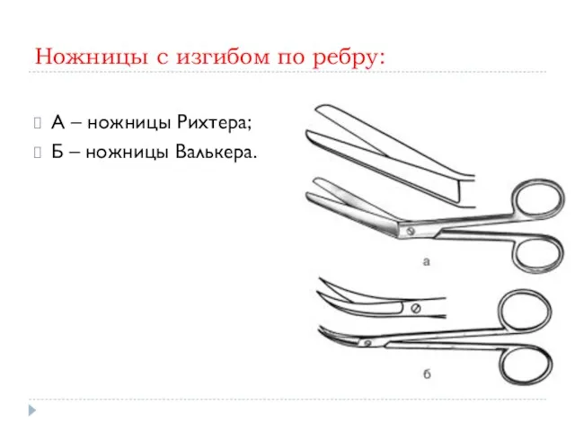 Ножницы с изгибом по ребру: А – ножницы Рихтера; Б – ножницы Валькера.