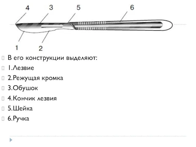 В его конструкции выделяют: 1.Лезвие 2.Режущая кромка 3.Обушок 4.Кончик лезвия 5.Шейка 6.Ручка