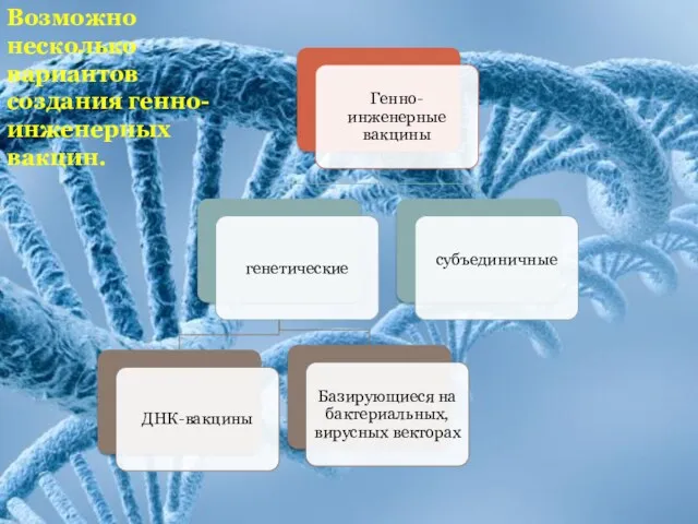 Возможно несколько вариантов создания генно-инженерных вакцин.