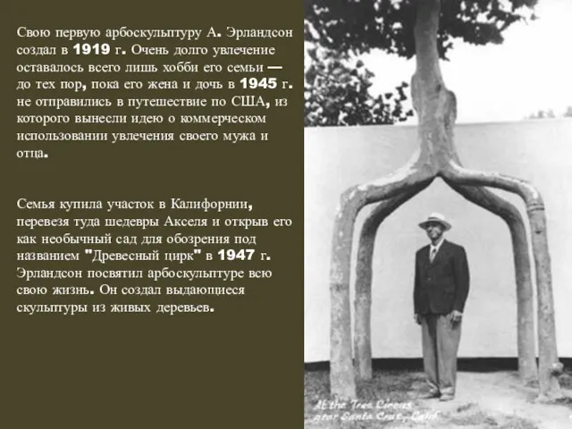 Свою первую арбоскульптуру А. Эрландсон создал в 1919 г. Очень