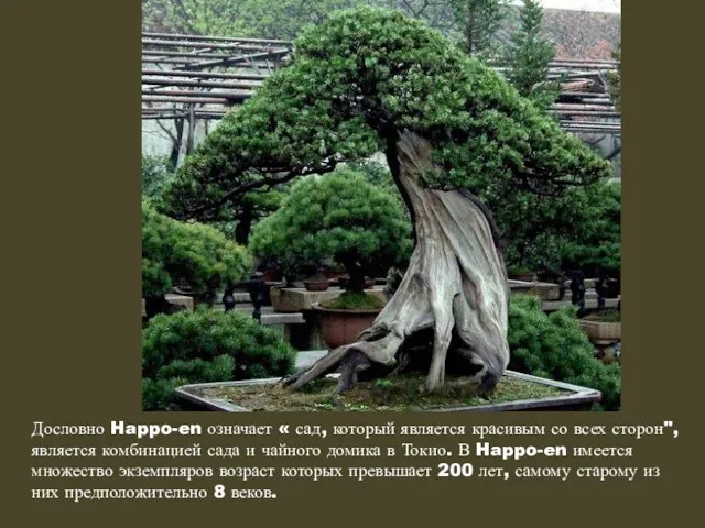 Дословно Happo-en означает « сад, который является красивым со всех