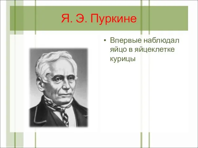 Я. Э. Пуркине Впервые наблюдал яйцо в яйцеклетке курицы