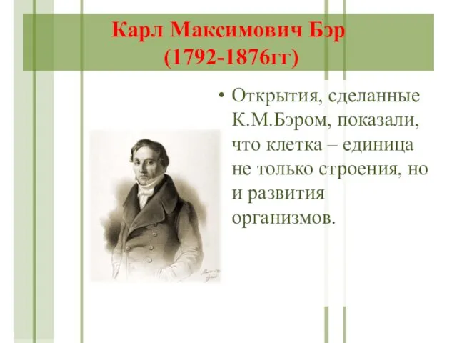 Карл Максимович Бэр (1792-1876гг) Открытия, сделанные К.М.Бэром, показали, что клетка