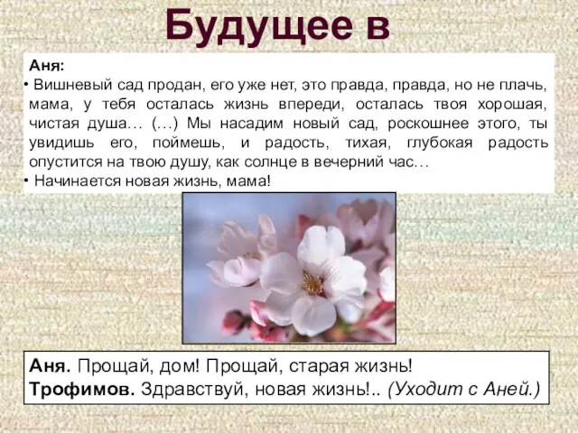 Будущее в пьесе Аня: Вишневый сад продан, его уже нет,