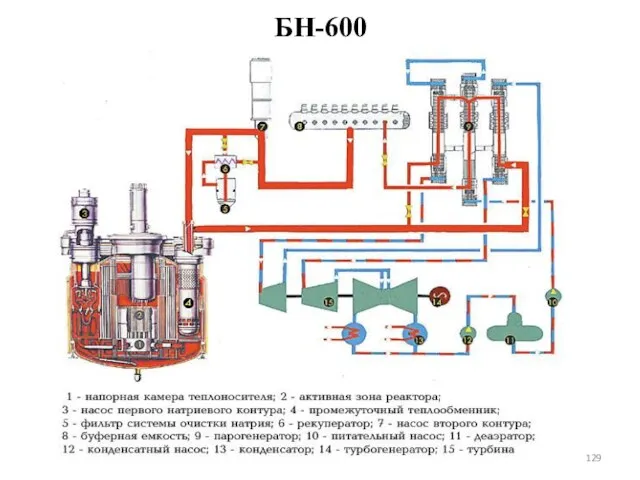 БН-600