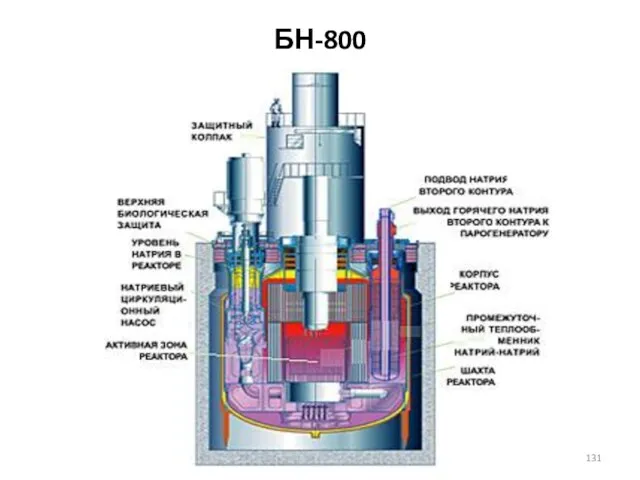 БН-800