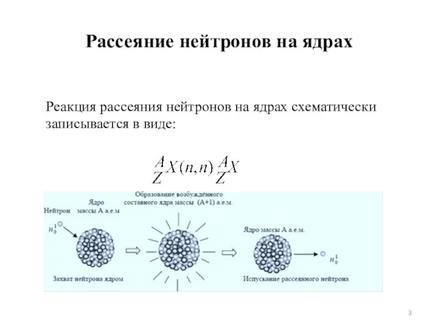 Рассеяние нейтронов на ядрах Реакция рассеяния нейтронов на ядрах схематически записывается в виде: