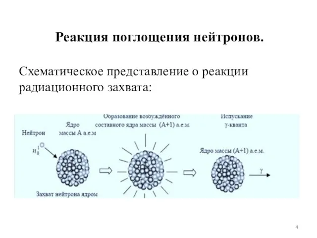 Реакция поглощения нейтронов. Схематическое представление о реакции радиационного захвата: