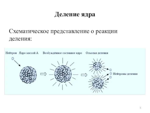 Деление ядра Схематическое представление о реакции деления: