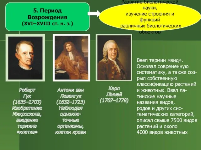 5. Период Возрождения (ХVІ–XVІІІ ст. н. э.) Развитие биологической науки,