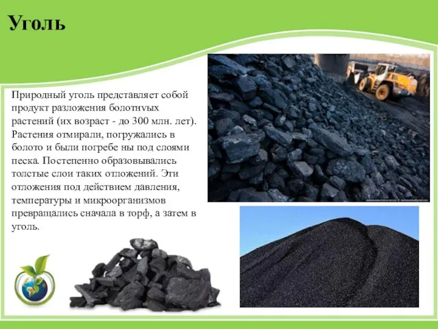 Природный уголь представляет собой продукт разложения болотнvых растений (их возраст