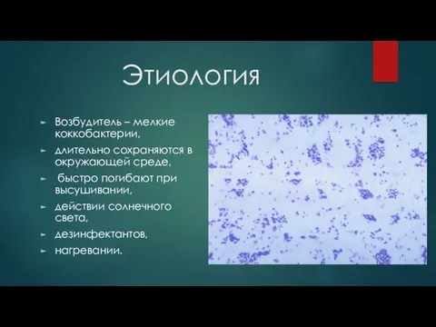 Этиология Возбудитель – мелкие коккобактерии, длительно сохраняются в окружающей среде,