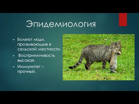 Эпидемиология Болеют люди, проживающие в сельской местности. Восприимчивость высокая. Иммунитет – прочный.