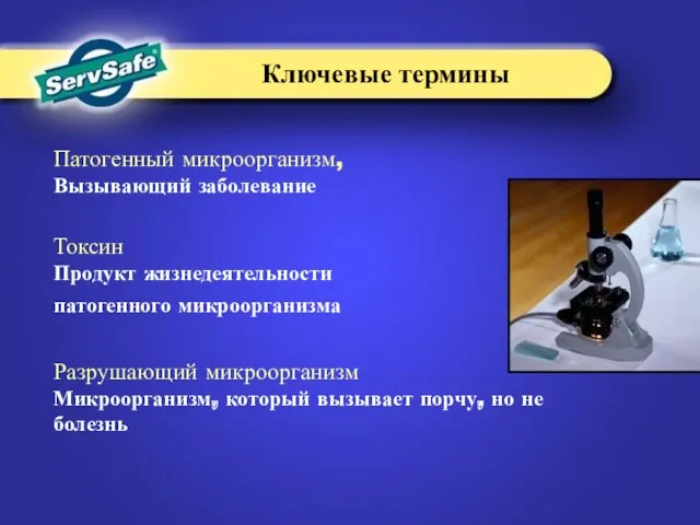 Патогенный микроорганизм, Вызывающий заболевание Токсин Продукт жизнедеятельности патогенного микроорганизма Разрушающий