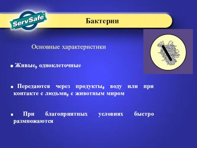 Бактерии Основные характеристики Живые, одноклеточные Передаются через продукты, воду или