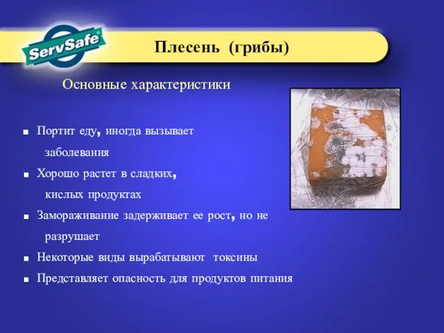 Основные характеристики Портит еду, иногда вызывает заболевания Хорошо растет в