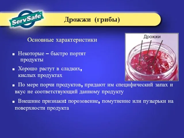 Основные характеристики Некоторые – быстро портят продукты Хорошо растут в