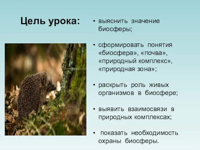 Цель урока: выяснить значение биосферы; сформировать понятия «биосфера», «почва», «природный