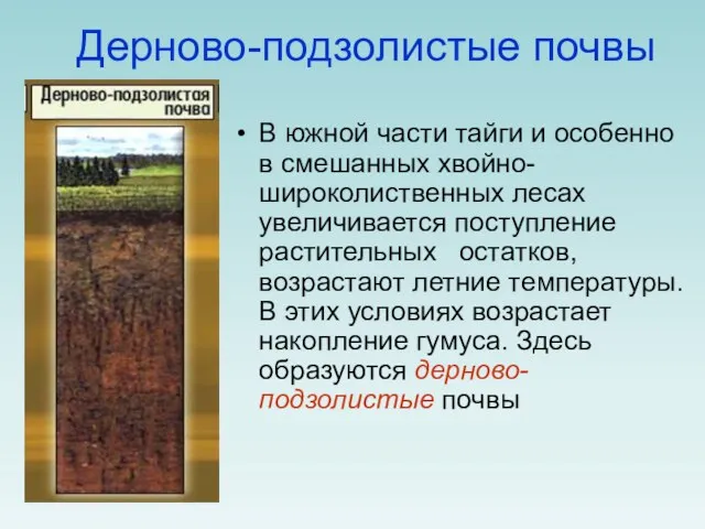 Дерново-подзолистые почвы В южной части тайги и особенно в смешанных