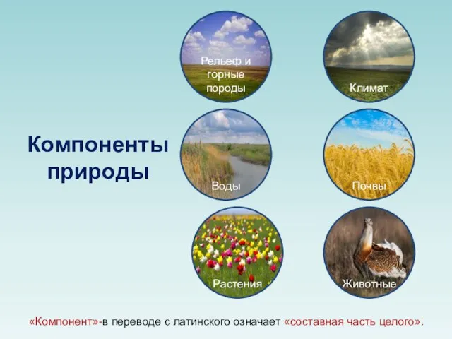 Компоненты природы «Компонент»-в переводе с латинского означает «составная часть целого».