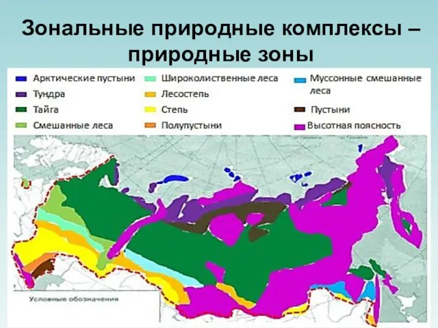 Зональные природные комплексы – природные зоны